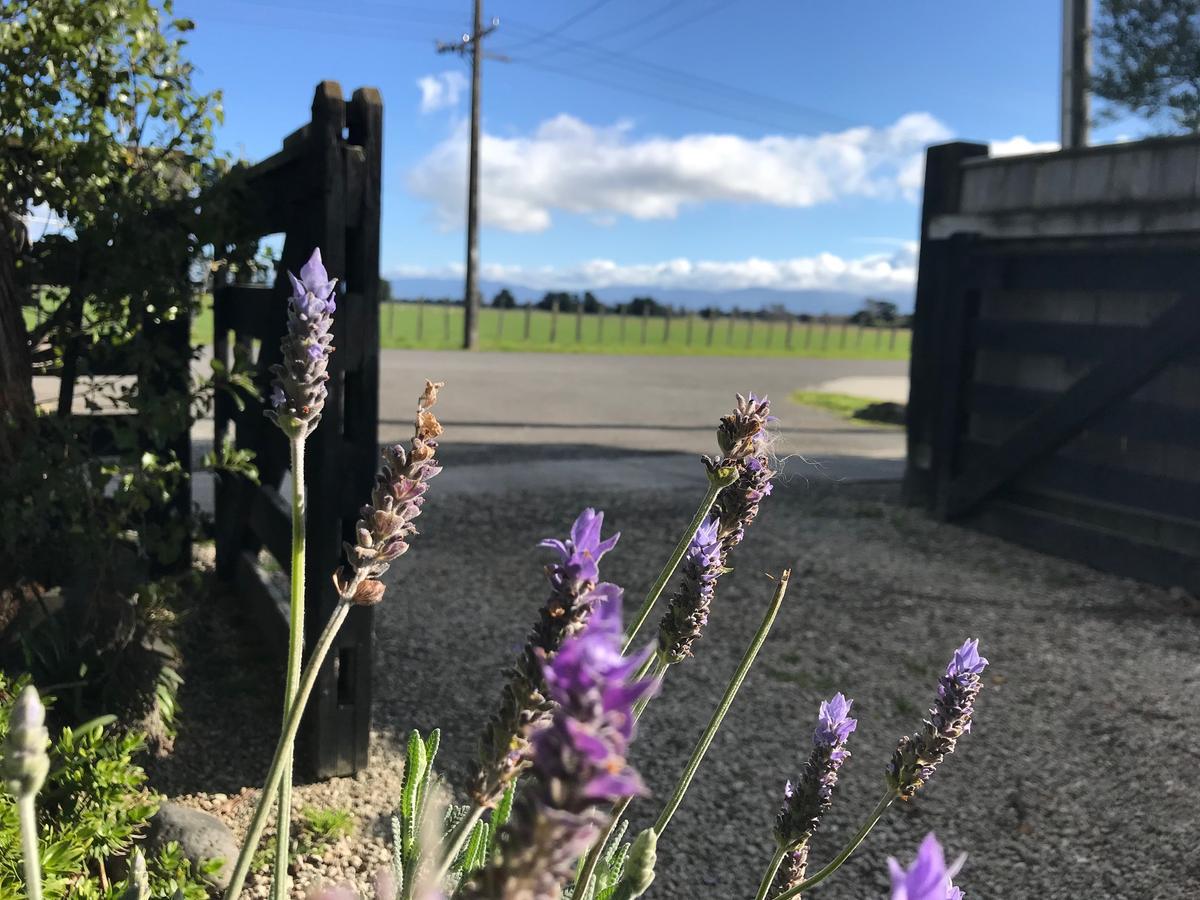 Villa Lavender53 à Martinborough Extérieur photo